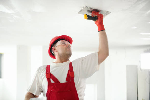 Eco-Friendly and Low-VOC Painting in Petal, MS