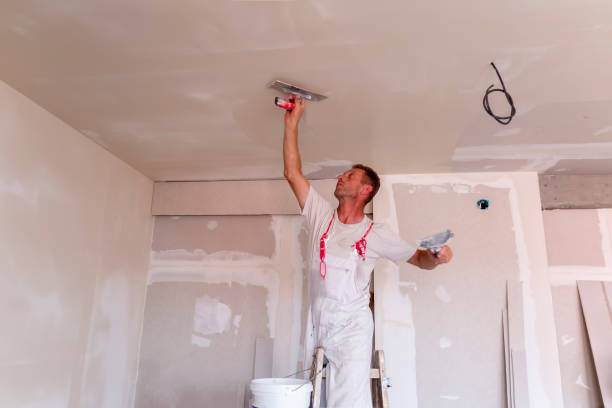 Wallpaper Removal and Painting in Petal, MS